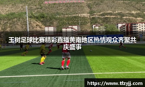 玉树足球比赛精彩直播黄南地区热情观众齐聚共庆盛事